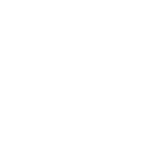 BLS Holdings Group
